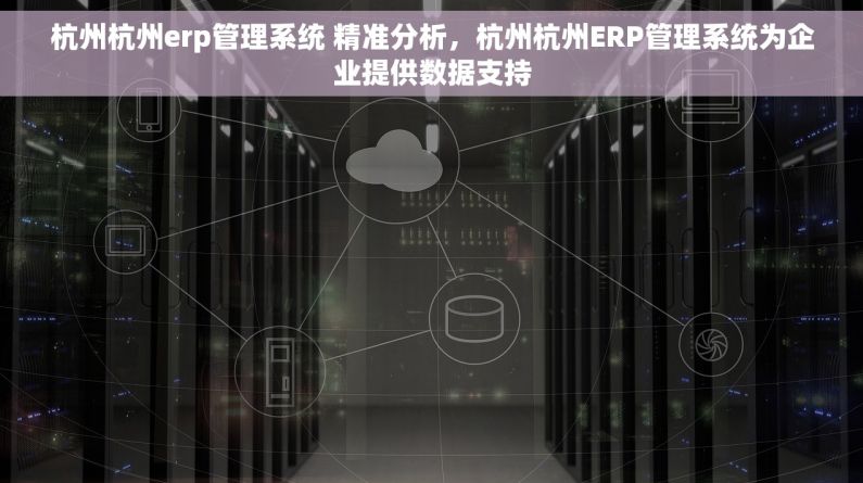 杭州杭州erp管理系统 精准分析，杭州杭州ERP管理系统为企业提供数据支持