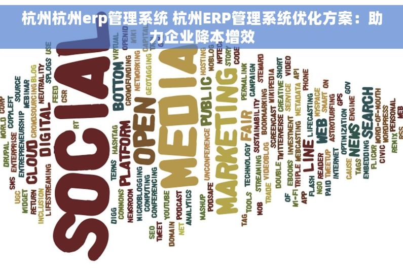 杭州杭州erp管理系统 杭州ERP管理系统优化方案：助力企业降本增效