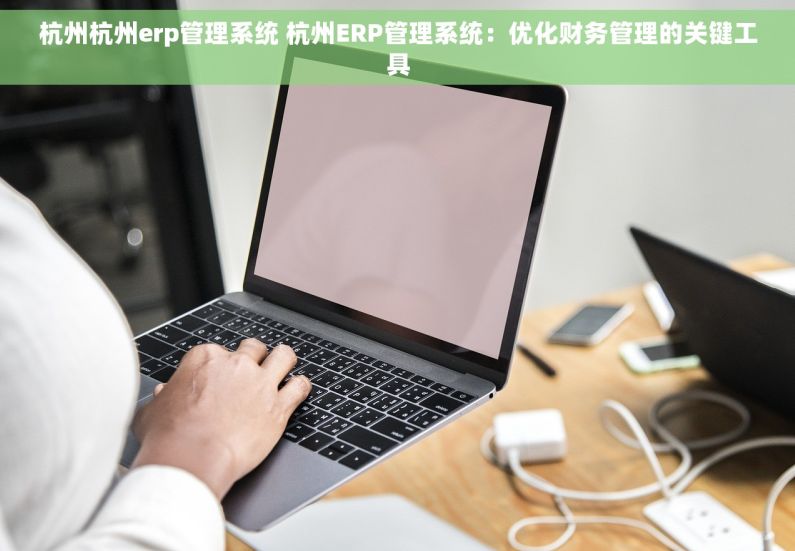 杭州杭州erp管理系统 杭州ERP管理系统：优化财务管理的关键工具