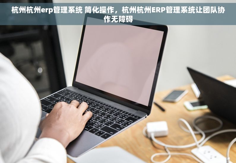 杭州杭州erp管理系统 简化操作，杭州杭州ERP管理系统让团队协作无障碍