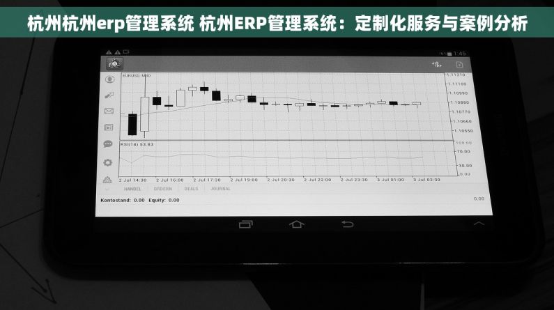 杭州杭州erp管理系统 杭州ERP管理系统：定制化服务与案例分析