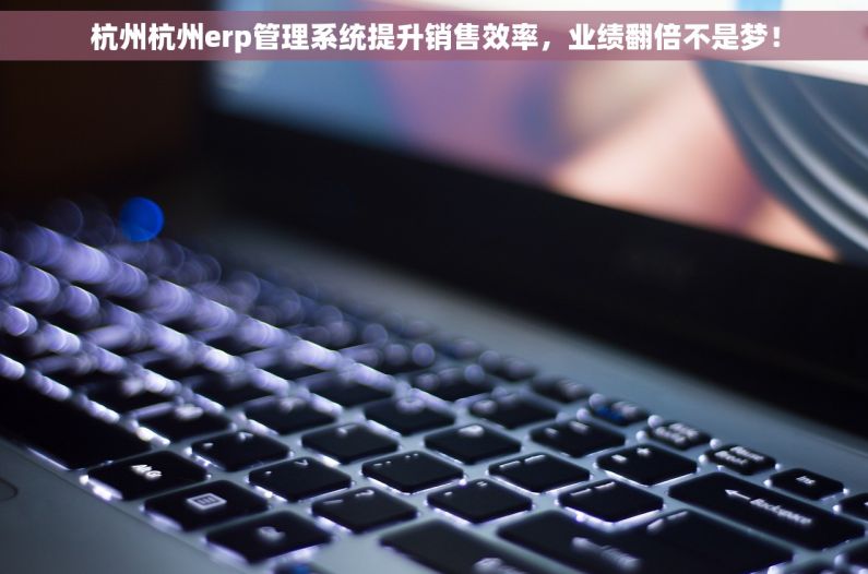 杭州杭州erp管理系统提升销售效率，业绩翻倍不是梦！