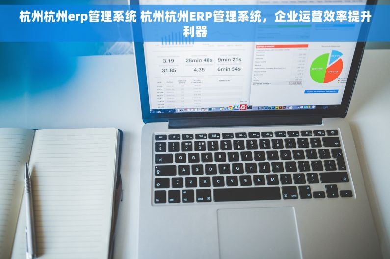 杭州杭州erp管理系统 杭州杭州ERP管理系统，企业运营效率提升利器