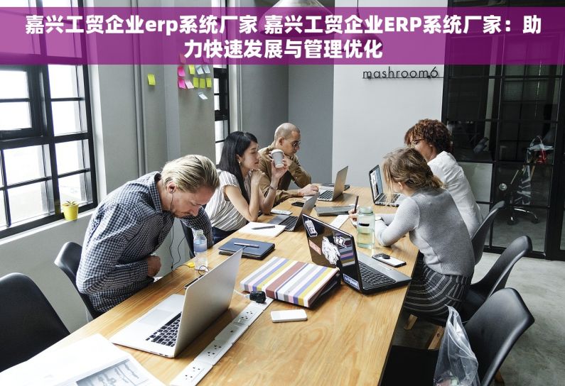 嘉兴工贸企业erp系统厂家 嘉兴工贸企业ERP系统厂家：助力快速发展与管理优化