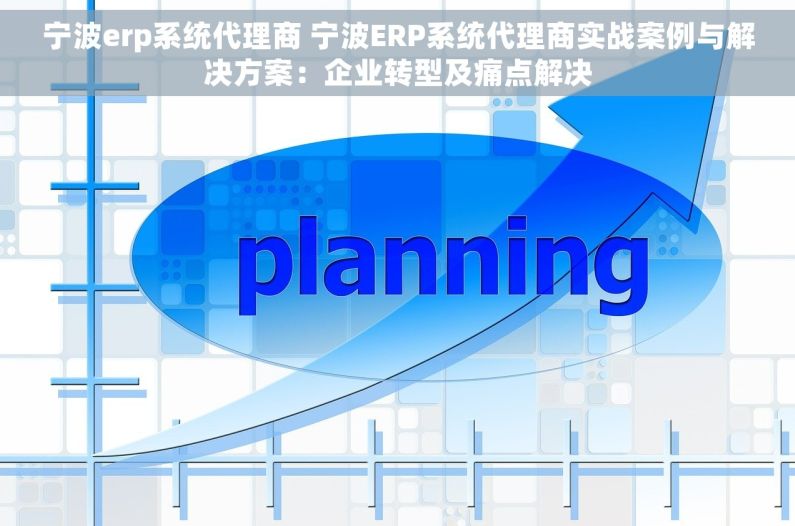 宁波erp系统代理商 宁波ERP系统代理商实战案例与解决方案：企业转型及痛点解决