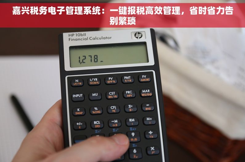 嘉兴税务电子管理系统：一键报税高效管理，省时省力告别繁琐