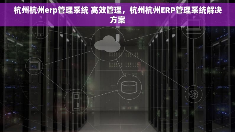 杭州杭州erp管理系统 高效管理，杭州杭州ERP管理系统解决方案