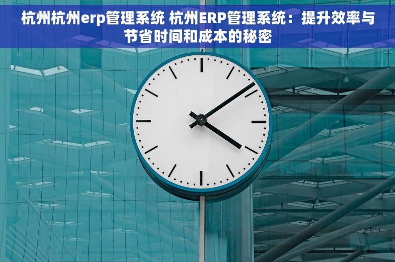杭州杭州erp管理系统 杭州ERP管理系统：提升效率与节省时间和成本的秘密