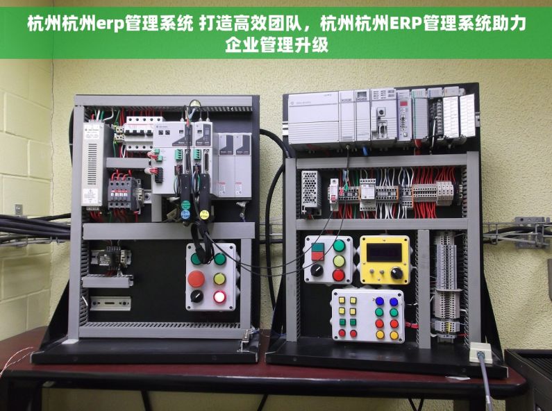 杭州杭州erp管理系统 打造高效团队，杭州杭州ERP管理系统助力企业管理升级