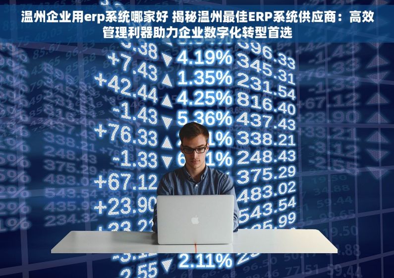温州企业用erp系统哪家好 揭秘温州最佳ERP系统供应商：高效管理利器助力企业数字化转型首选
