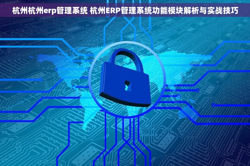 杭州杭州erp管理系统 杭州ERP管理系统功能模块解析与实战技巧