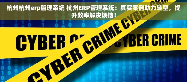 杭州杭州erp管理系统 杭州ERP管理系统：真实案例助力转型，提升效率解决烦恼！