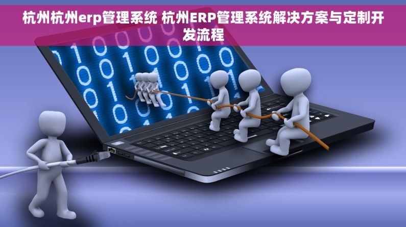 杭州杭州erp管理系统 杭州ERP管理系统解决方案与定制开发流程