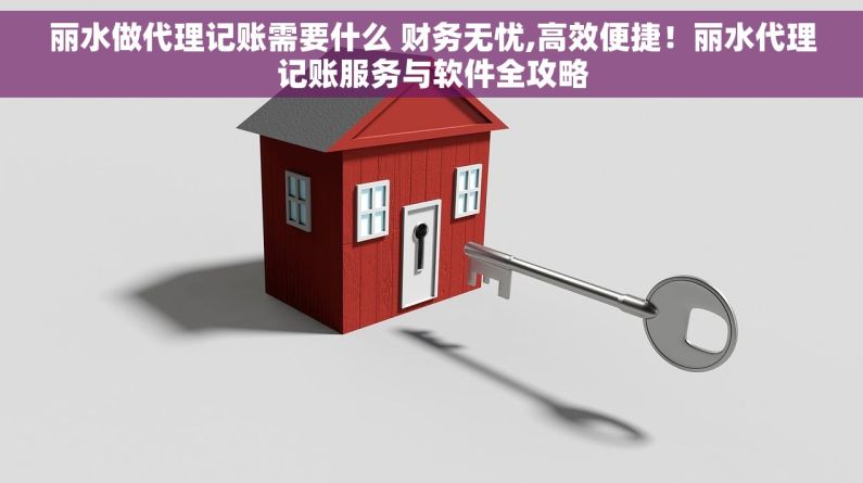丽水做代理记账需要什么 财务无忧,高效便捷！丽水代理记账服务与软件全攻略