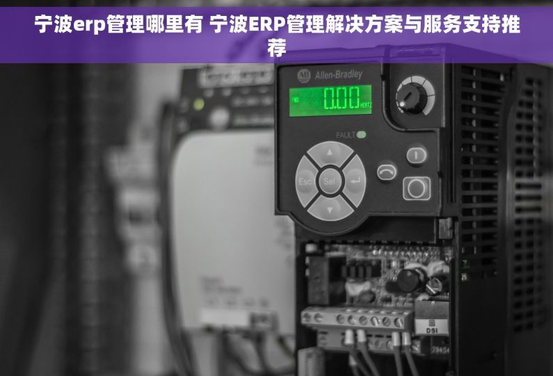 宁波erp管理哪里有 宁波ERP管理解决方案与服务支持推荐