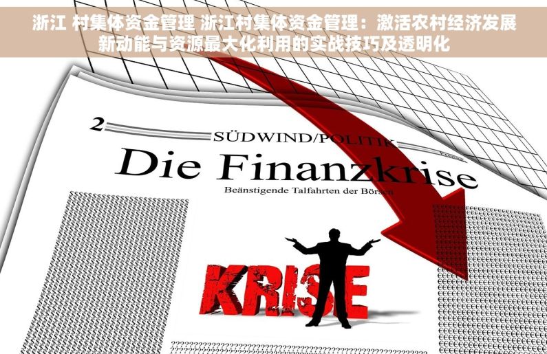 浙江 村集体资金管理 浙江村集体资金管理：激活农村经济发展新动能与资源最大化利用的实战技巧及透明化