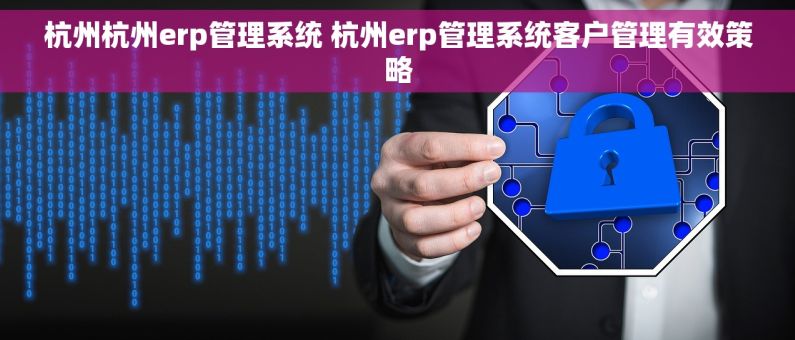 杭州杭州erp管理系统 杭州erp管理系统客户管理有效策略