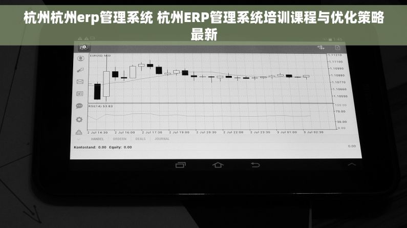 杭州杭州erp管理系统 杭州ERP管理系统培训课程与优化策略最新
