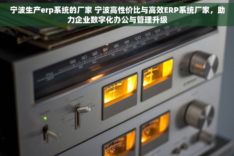 宁波生产erp系统的厂家 宁波高性价比与高效ERP系统厂家，助力企业数字化办公与管理升级