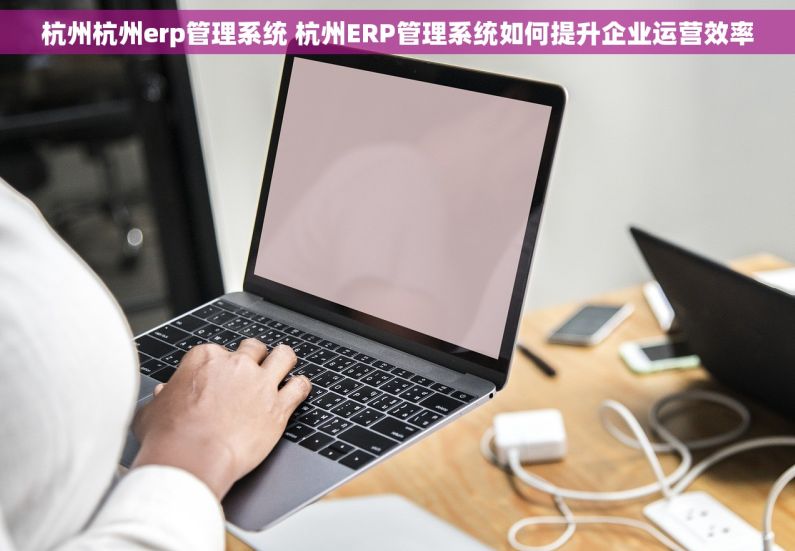 杭州杭州erp管理系统 杭州ERP管理系统如何提升企业运营效率