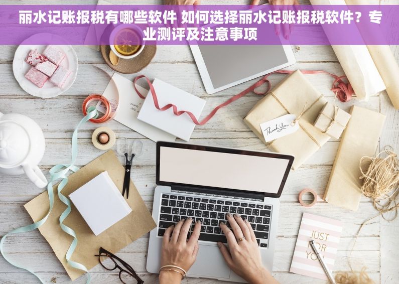 丽水记账报税有哪些软件 如何选择丽水记账报税软件？专业测评及注意事项