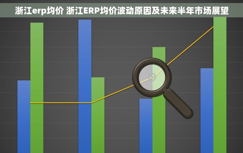 浙江erp均价 浙江ERP均价波动原因及未来半年市场展望