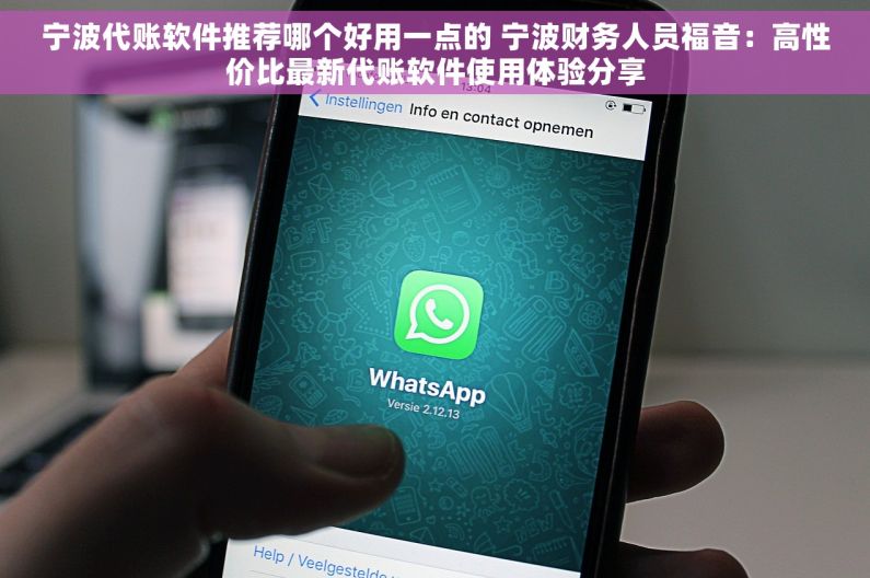 宁波代账软件推荐哪个好用一点的 宁波财务人员福音：高性价比最新代账软件使用体验分享