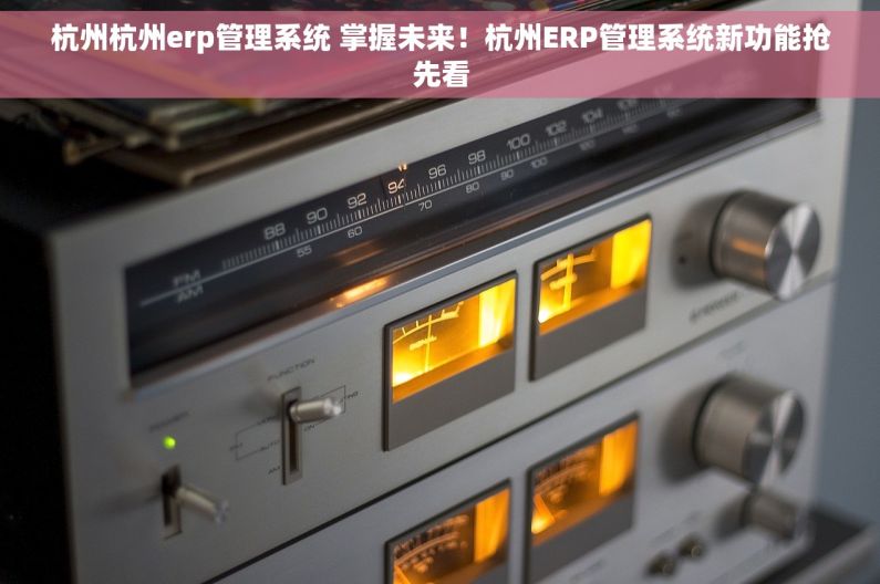 杭州杭州erp管理系统 掌握未来！杭州ERP管理系统新功能抢先看