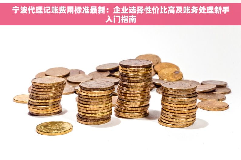 宁波代理记账费用标准最新：企业选择性价比高及账务处理新手入门指南