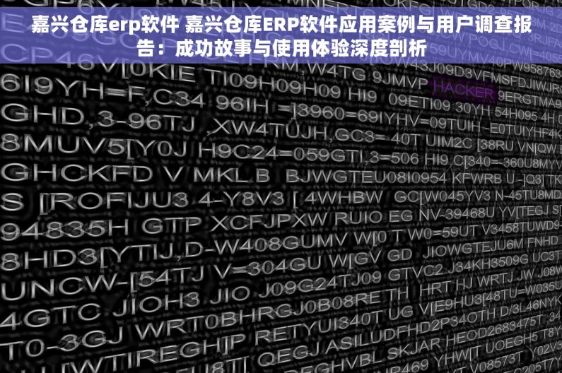 嘉兴仓库erp软件 嘉兴仓库ERP软件应用案例与用户调查报告：成功故事与使用体验深度剖析