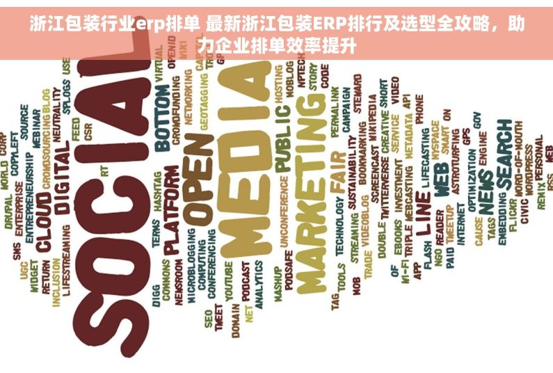 浙江包装行业erp排单 最新浙江包装ERP排行及选型全攻略，助力企业排单效率提升