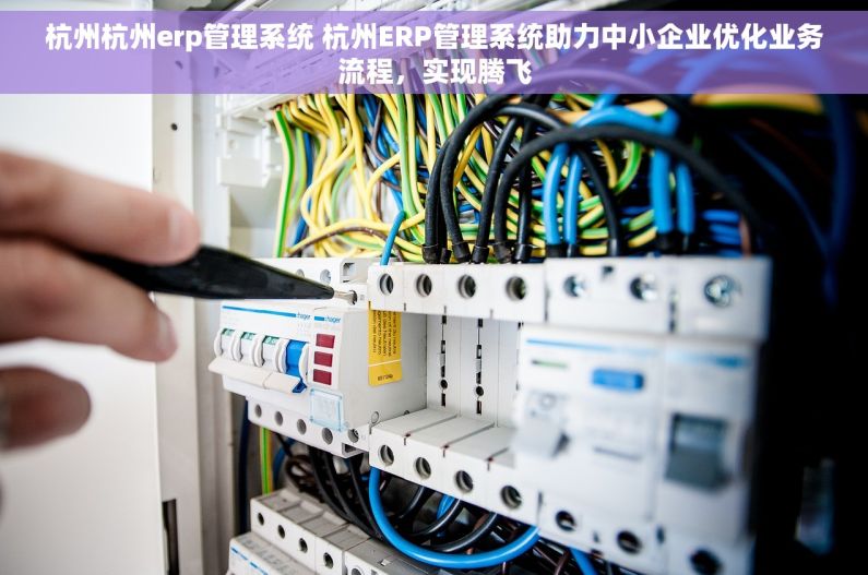 杭州杭州erp管理系统 杭州ERP管理系统助力中小企业优化业务流程，实现腾飞