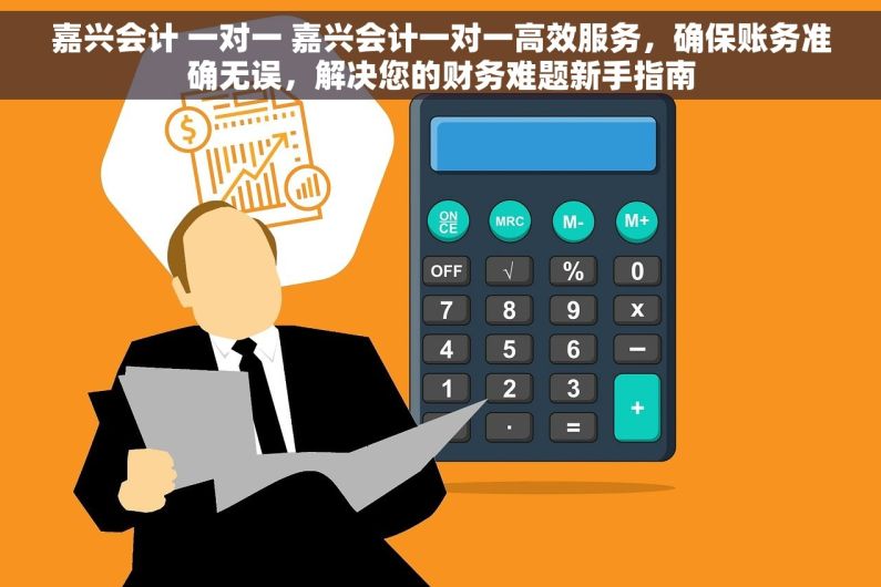 嘉兴会计 一对一 嘉兴会计一对一高效服务，确保账务准确无误，解决您的财务难题新手指南