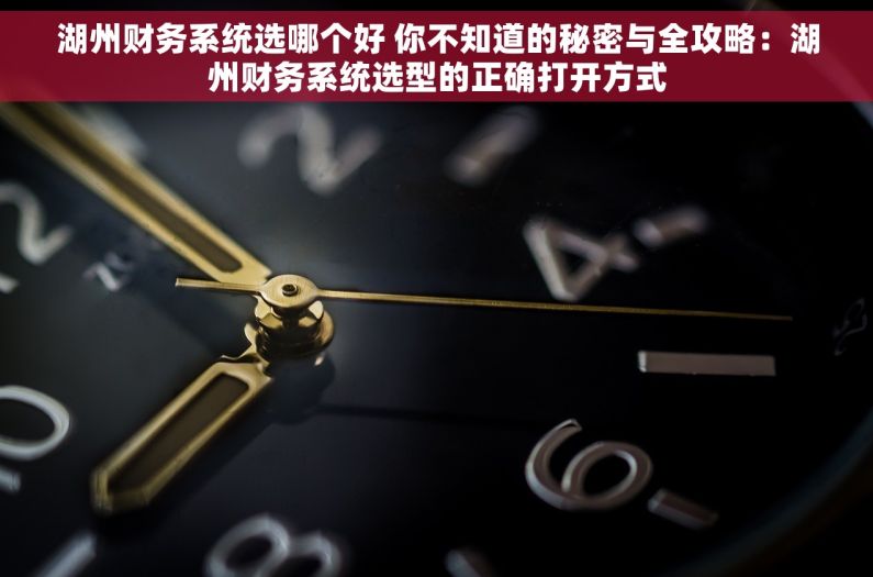湖州财务系统选哪个好 你不知道的秘密与全攻略：湖州财务系统选型的正确打开方式