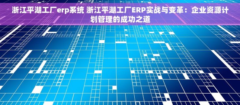 浙江平湖工厂erp系统 浙江平湖工厂ERP实战与变革：企业资源计划管理的成功之道