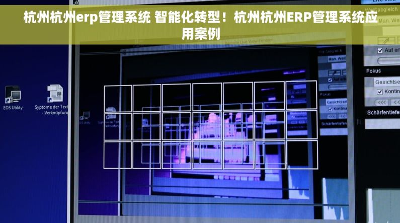 杭州杭州erp管理系统 智能化转型！杭州杭州ERP管理系统应用案例