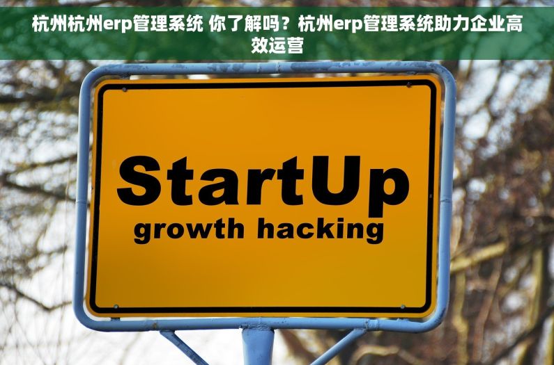 杭州杭州erp管理系统 你了解吗？杭州erp管理系统助力企业高效运营
