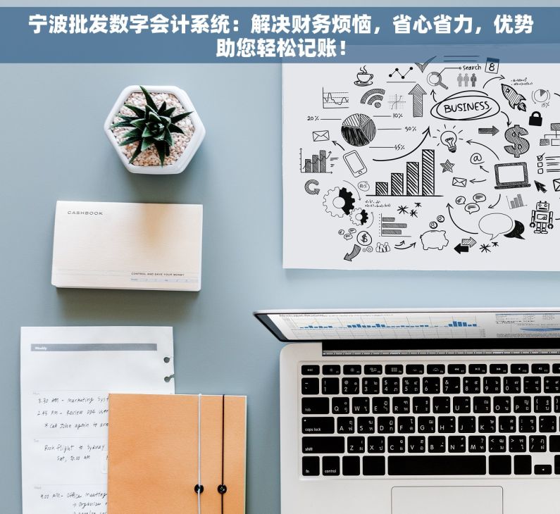 宁波批发数字会计系统：解决财务烦恼，省心省力，优势助您轻松记账！