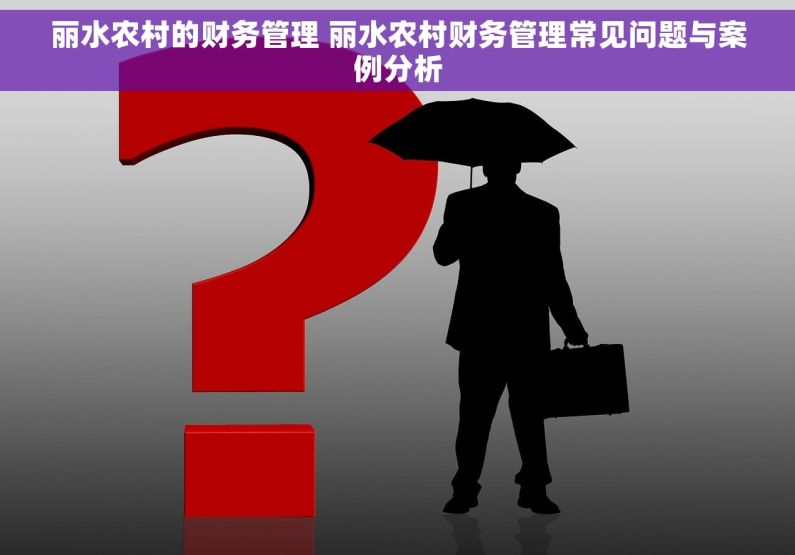 丽水农村的财务管理 丽水农村财务管理常见问题与案例分析