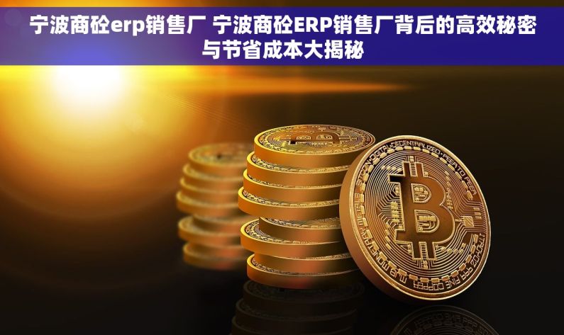 宁波商砼erp销售厂 宁波商砼ERP销售厂背后的高效秘密与节省成本大揭秘