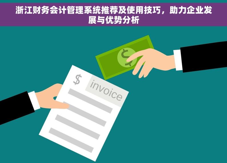 浙江财务会计管理系统推荐及使用技巧，助力企业发展与优势分析