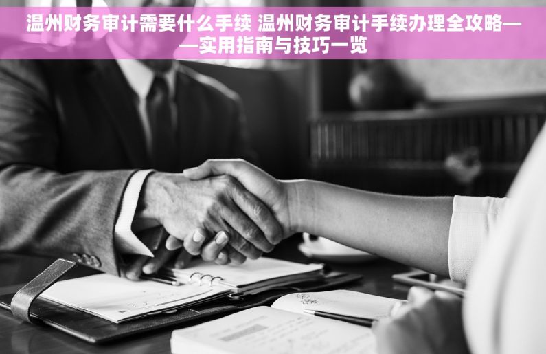 温州财务审计需要什么手续 温州财务审计手续办理全攻略——实用指南与技巧一览