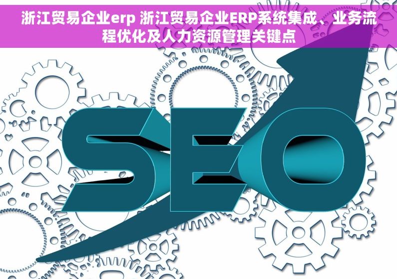 浙江贸易企业erp 浙江贸易企业ERP系统集成、业务流程优化及人力资源管理关键点
