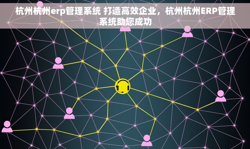 杭州杭州erp管理系统 打造高效企业，杭州杭州ERP管理系统助您成功