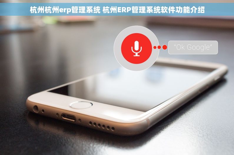杭州杭州erp管理系统 杭州ERP管理系统软件功能介绍