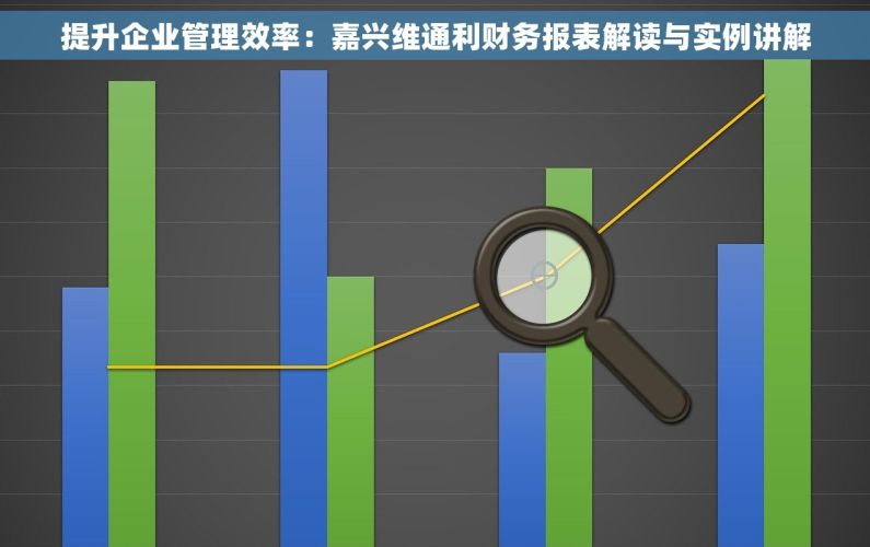 提升企业管理效率：嘉兴维通利财务报表解读与实例讲解