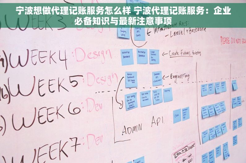 宁波想做代理记账服务怎么样 宁波代理记账服务：企业必备知识与最新注意事项