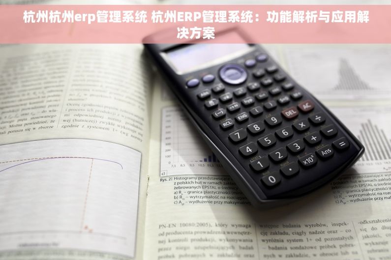 杭州杭州erp管理系统 杭州ERP管理系统：功能解析与应用解决方案