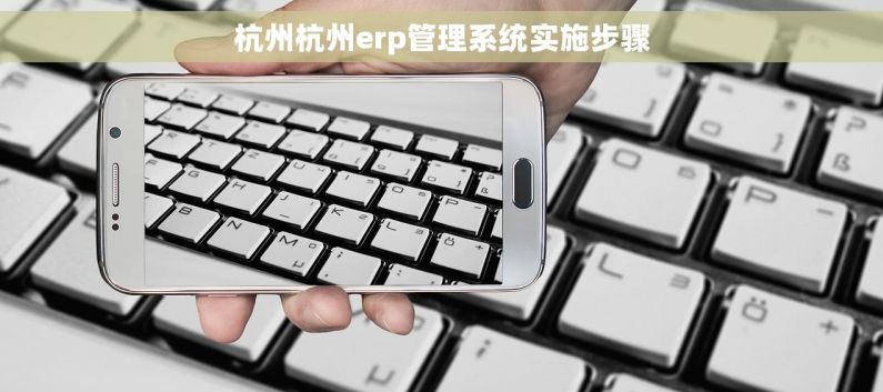 杭州杭州erp管理系统实施步骤