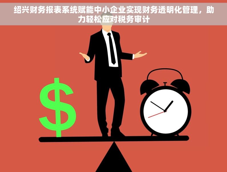 绍兴财务报表系统赋能中小企业实现财务透明化管理，助力轻松应对税务审计